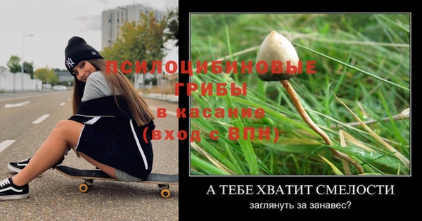 прущие грибы Баксан