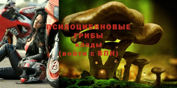 дмт Армянск
