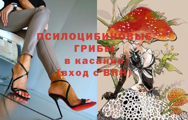 прущие грибы Баксан