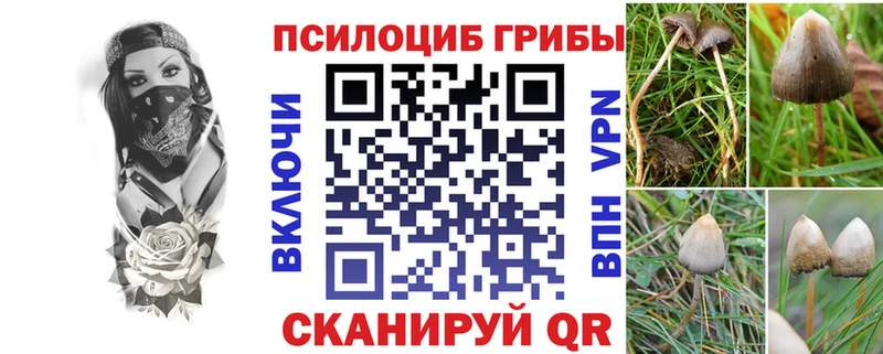 сайты даркнета как зайти  Славск  Псилоцибиновые грибы GOLDEN TEACHER 